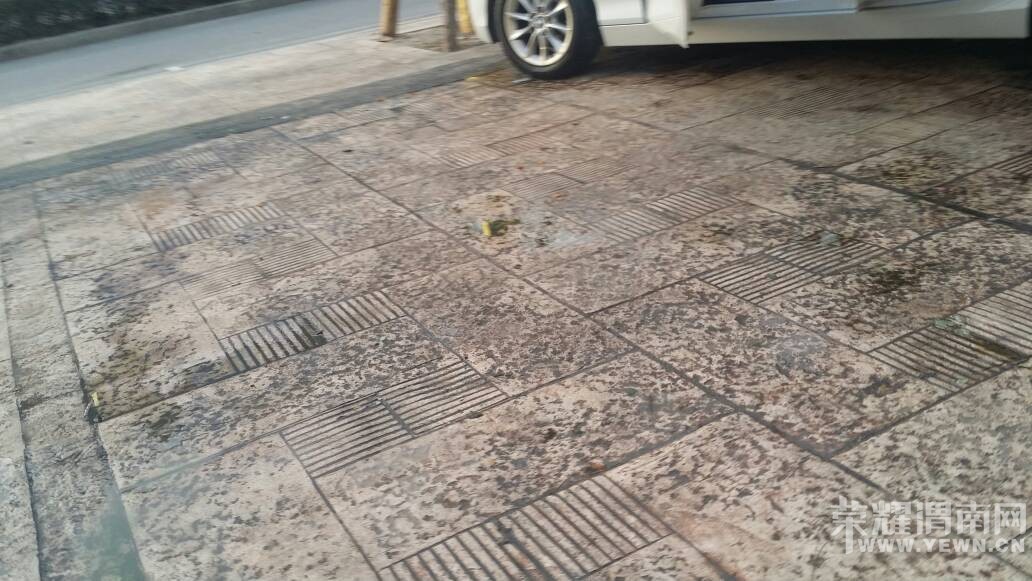 �ֳ�·�ж���������ʮ�֣�ϴ���곣����ˮ���硭��