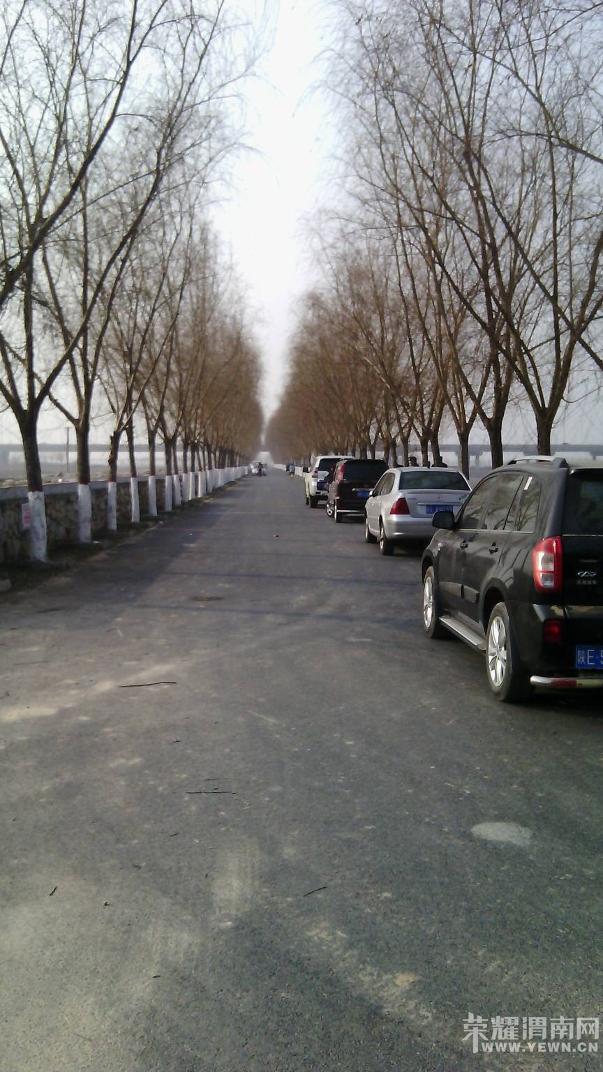 163604ch8cc4087etwn8hg.jpg