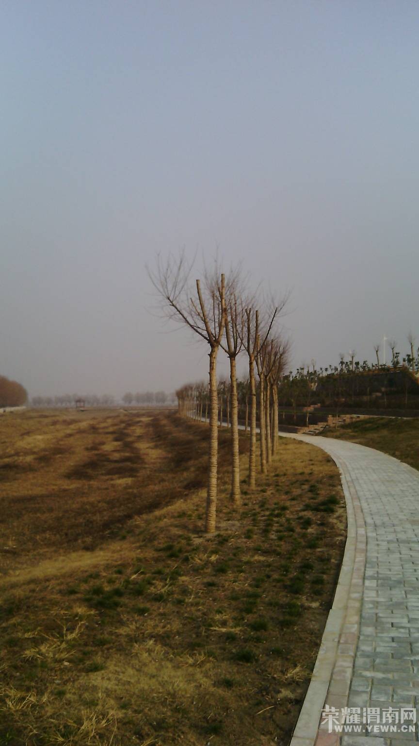 231333vdif2r1ci0111fxu.jpg