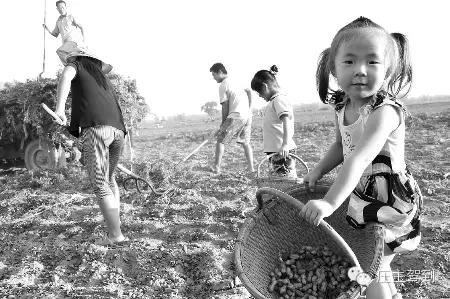 ����μ�����µģ������������