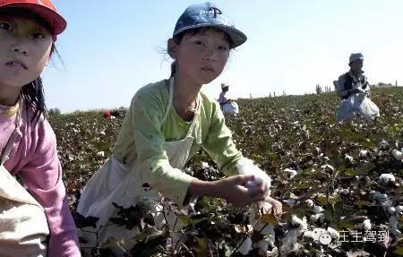 ����μ�����µģ������������