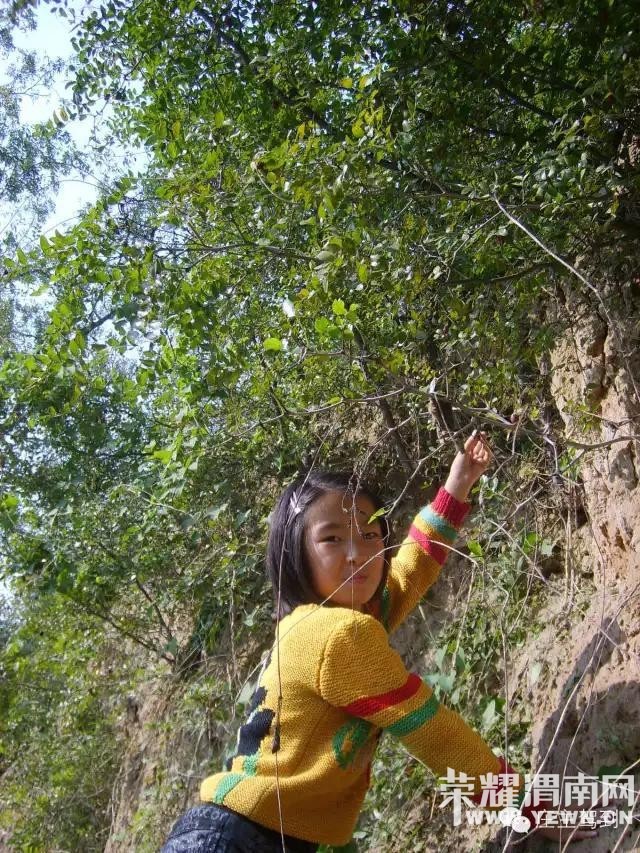 ����μ�����µģ������������