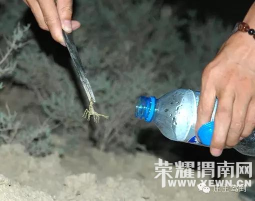 ����μ�����µģ������������