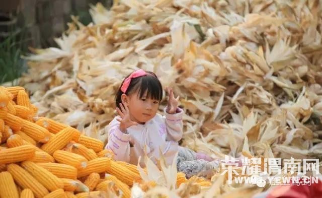 ����μ�����µģ������������