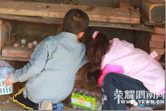 ����μ�����µģ������������