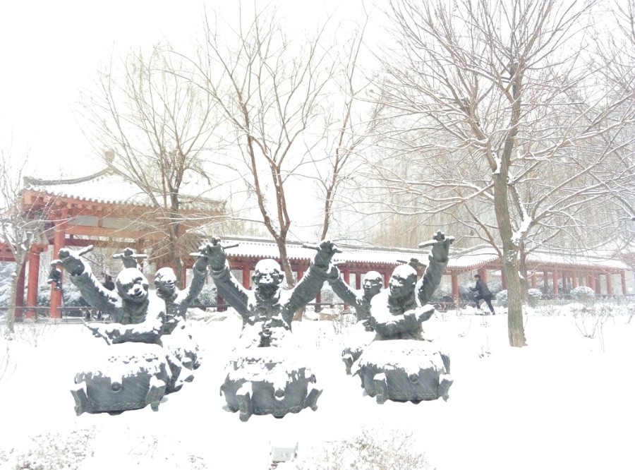 μ��ӭ����ѩ����԰��������