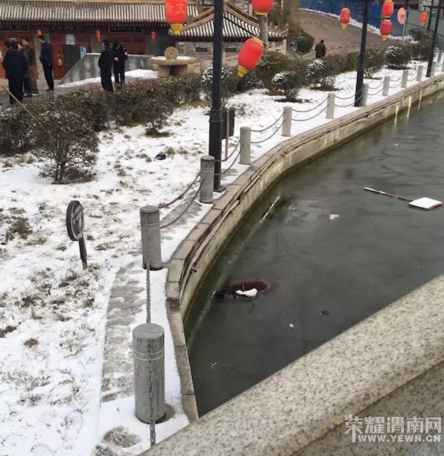 �������磬μ���Ⱥӹ�԰����һ��Ůʬ~