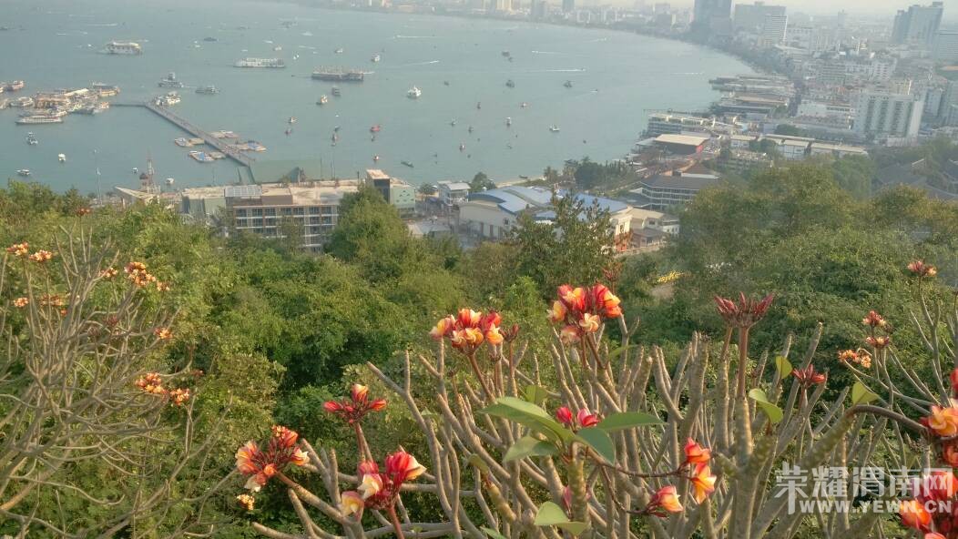 �ż��ˣ��Һͱ�����̩��������~����ɫ����Ŷ~~