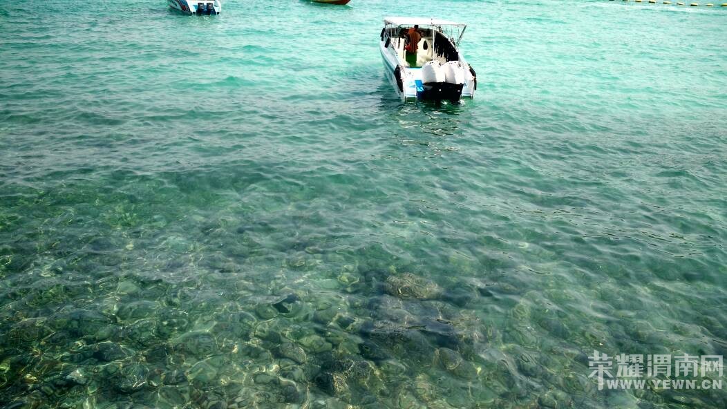 �ż��ˣ��Һͱ�����̩��������~����ɫ����Ŷ~~