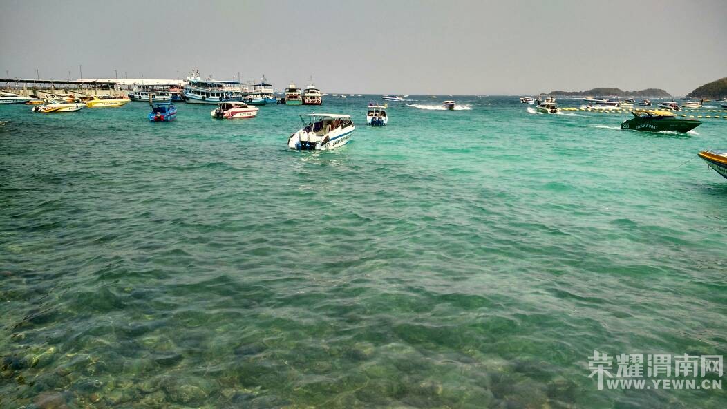 �ż��ˣ��Һͱ�����̩��������~����ɫ����Ŷ~~