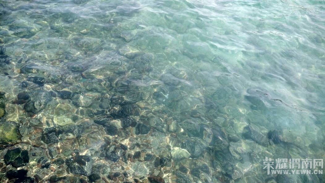 �ż��ˣ��Һͱ�����̩��������~����ɫ����Ŷ~~