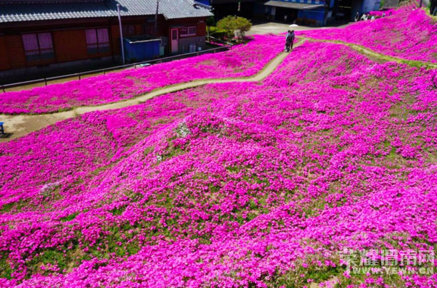 ������氮���𣿣���ɱһ����ʯ���鱦��