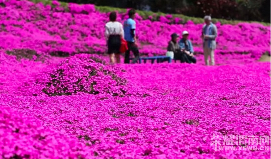 ������氮���𣿣���ɱһ����ʯ���鱦��