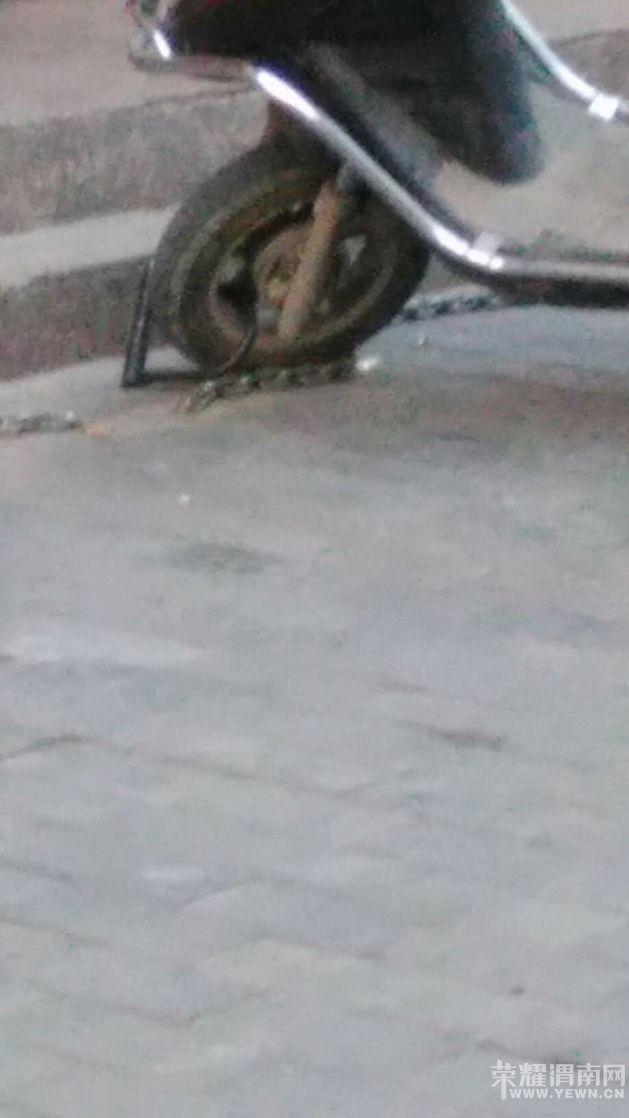 这网吧老板为了挣钱,也是拼了! - 百姓生活 - 荣