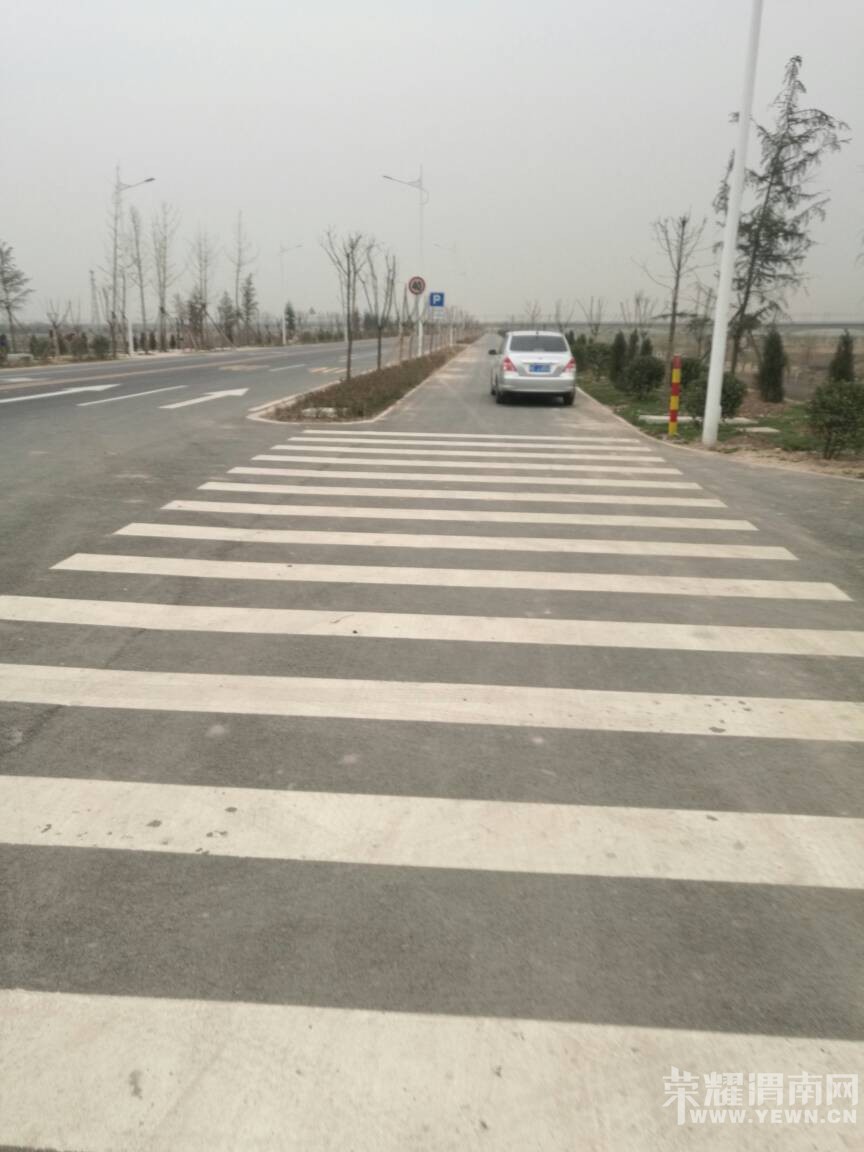 123752lwwali71zryronsp.jpg