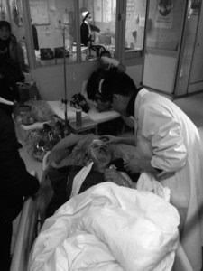 �Ϸʵ���ʧ�س嵽��¥ �˿�ͷ����׵����