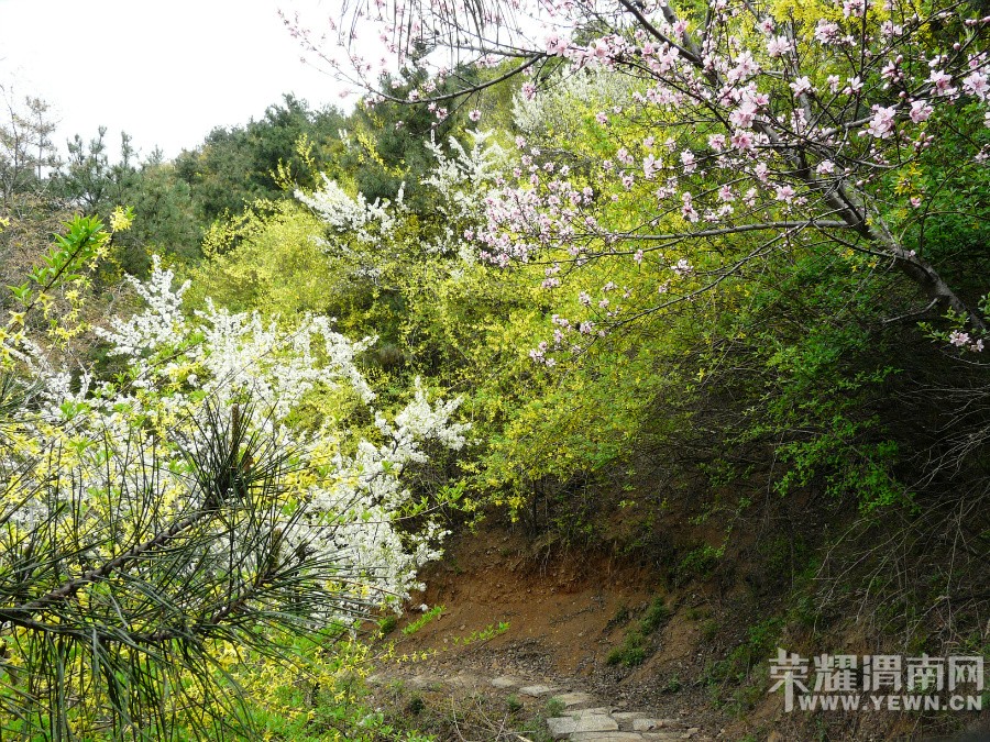 ԥϿӣٽڿĻ켷ο