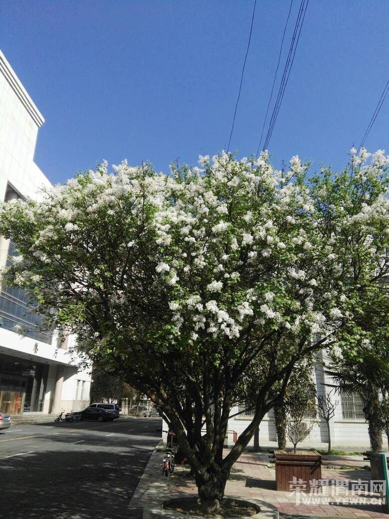 μ����ͼ��ݿ���������ʩ��ȫ��������Ա����̬�ȳ��ޣ�