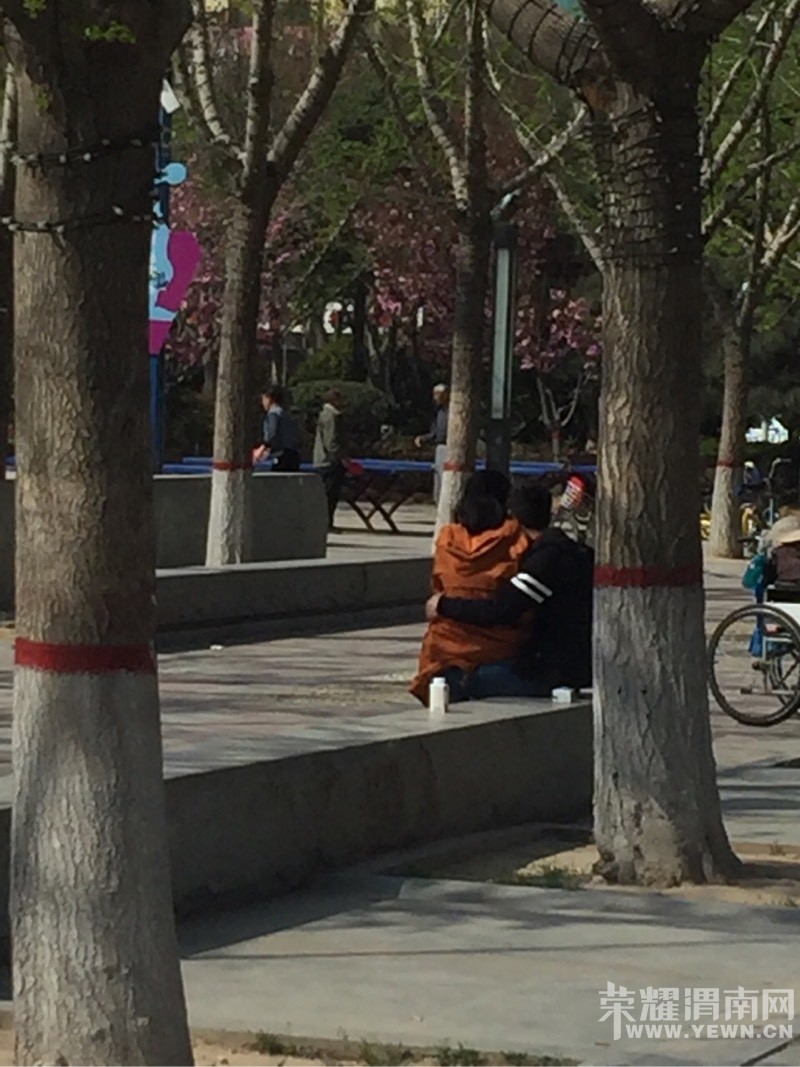 Ŷ��ǧ�ţ������ϵ����������ô����������Կ�