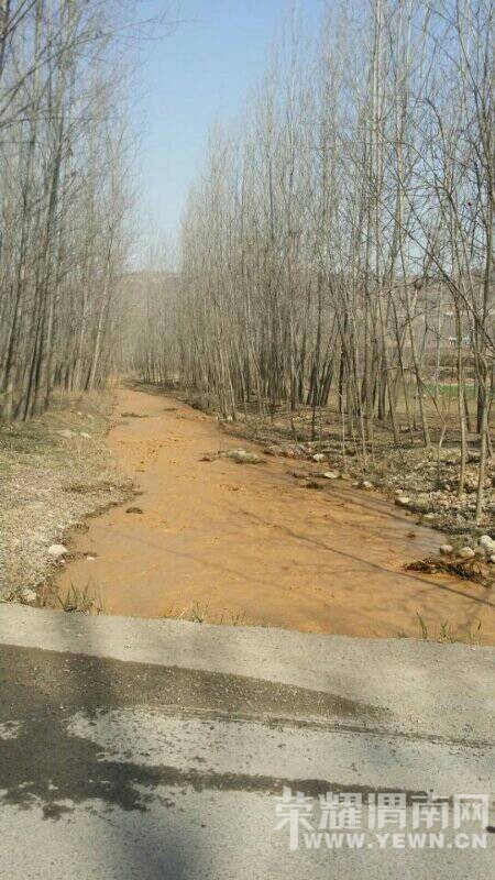 μ�������񿴿����Ƕ�����Щɶˮ����