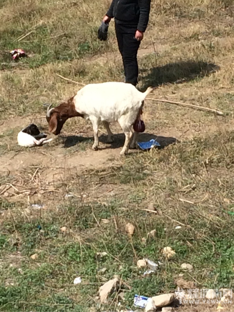 ���Ӵ���϶�һ���ķ���ʱ��ĸ���������͵�Ϊĸ���������ͼ��