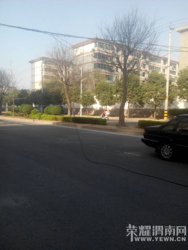 ����������С���ſ�һ���ߺ���·�м䣬����ز��Ž��