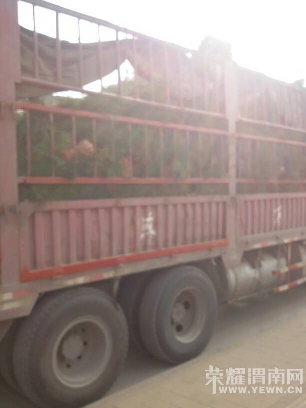 �����ڱ��Ӵ���϶ο�����������������������ɣ�