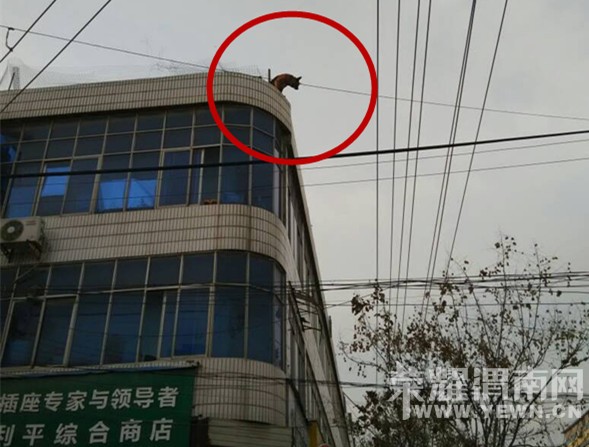 ��һ·���Ͼ�·ʮ�֣�¥��һ���ǹ����������Ŀ�У����ˣ�