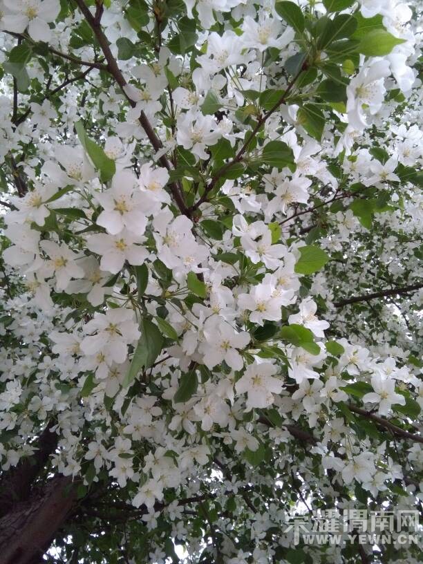 �������ˣ��������භ�ޣ����Ķ��ѽ~