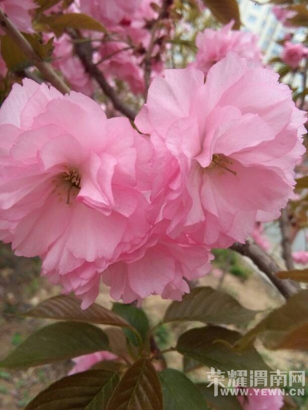 �������ˣ��������භ�ޣ����Ķ��ѽ~