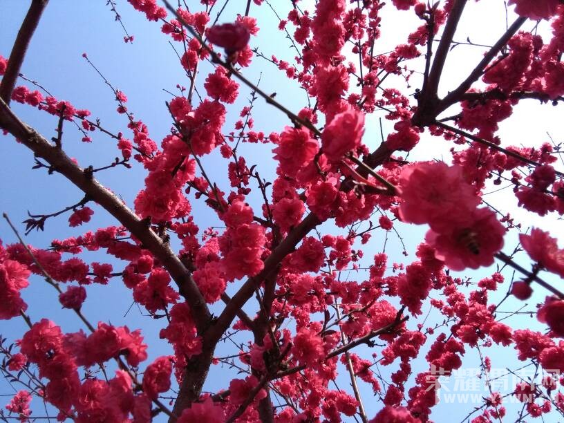 �������ˣ��������භ�ޣ����Ķ��ѽ~