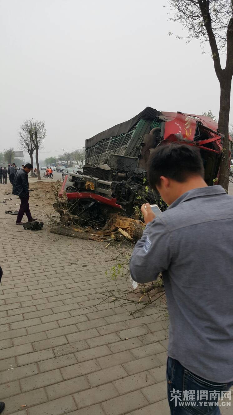 310��������һĻ����˵˾��δ����