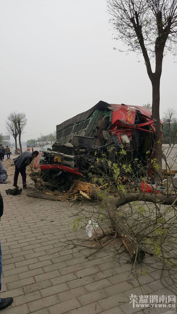 310��������һĻ����˵˾��δ����