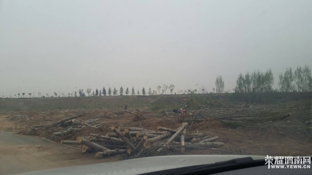 �����Ͷ�����̬��԰�Ĵ�