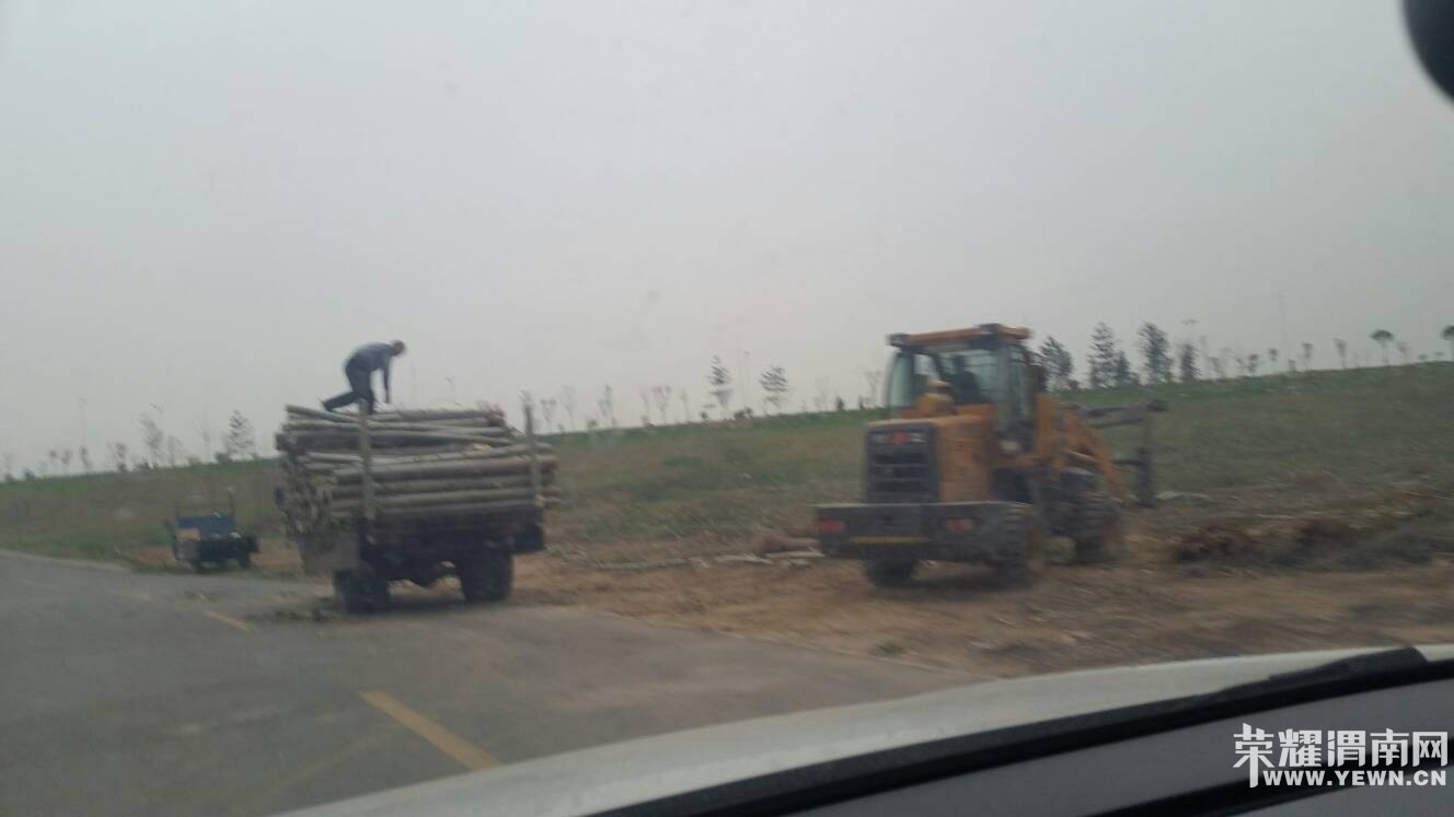 �����Ͷ�����̬��԰�Ĵ�