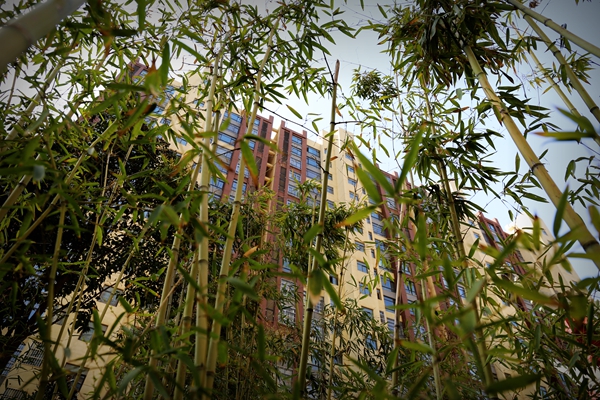 ��԰�ᾰ���ڻ��ʹ����֮�����ռ����Ʒ��