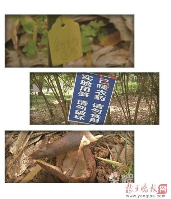 �Ͼ���У����ʵ�����δ��� ���������걻͵��