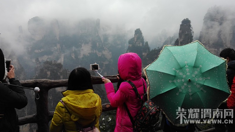 ��ͬ�µ��żҽ���ɽ�º��μ�