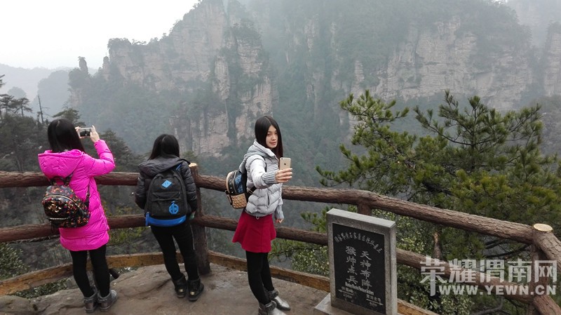 ��ͬ�µ��żҽ���ɽ�º��μ�