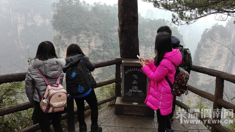 ��ͬ�µ��żҽ���ɽ�º��μ�