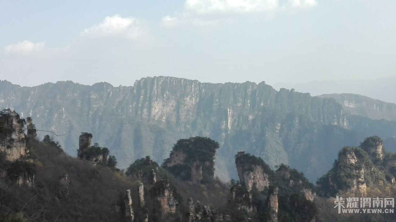 ��ͬ�µ��żҽ���ɽ�º��μ�