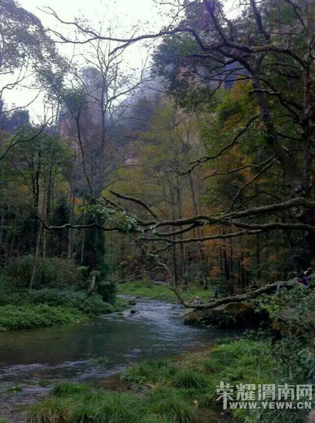 ��ͬ�µ��żҽ���ɽ�º��μ�