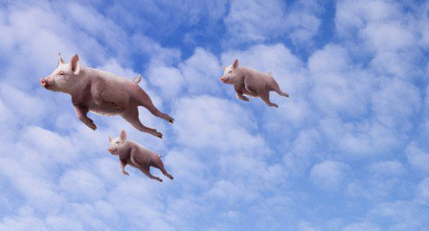 �����еĵ�һ��������Ĳ���ֱ�ӣ��㻹�ǵ���ĵ�һ��������