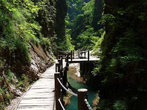 μ�ϡ�����ͬ�л��⡿5��7������ɽ��ˮ��5A������˿Ͽһ����