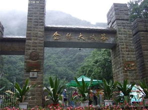 μ�ϡ�����ͬ�л��⡿5��7������ɽ��ˮ��5A������˿Ͽһ����