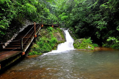 μ�ϡ�����ͬ�л��⡿5��7������ɽ��ˮ��5A������˿Ͽһ����