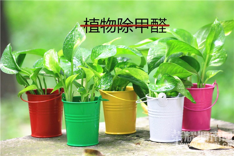 ����ȩ�����ҥ�ԣ���û������˵���ģ�