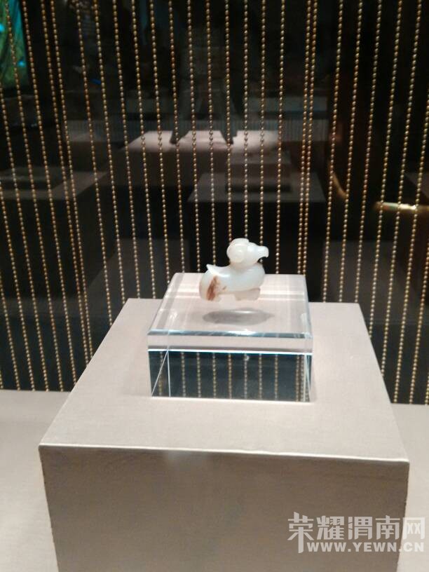 ���渾��Ĺ�����ι۲���ݹ���