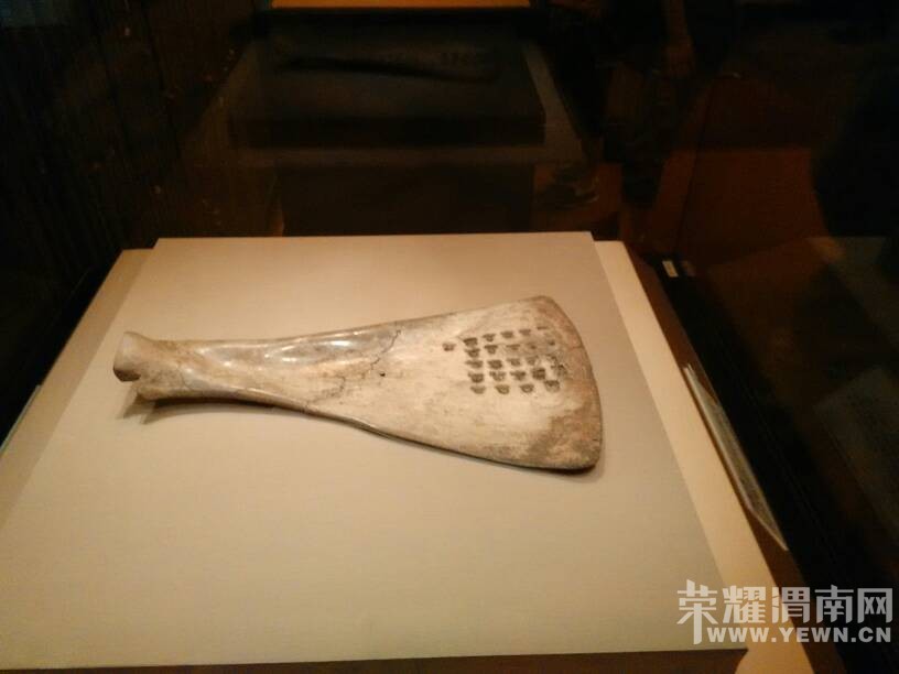 ���渾��Ĺ�����ι۲���ݹ���