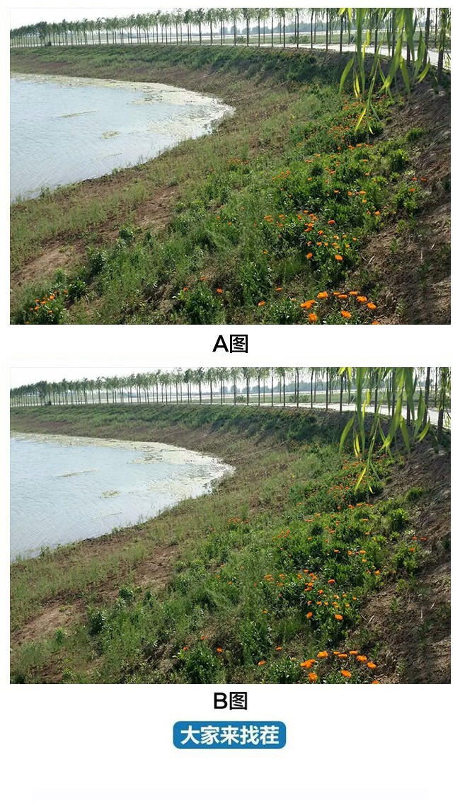 ��������Ҳ�-��82�ڡ�����֪������ʲô�õط��𣿲��أ�